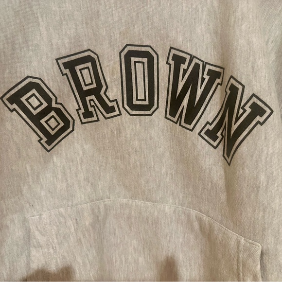Y2K Brown Sweatshirt Size Large - Picture 1 of 10